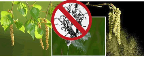 ../Anti-pollen/Anti–Allergic Screen